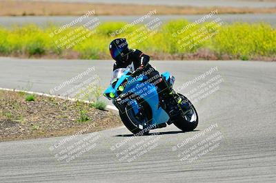 media/May-10-2024-2WTD (Fri) [[c88d7990af]]/Group C/Session 3-Turn 4 and 6/